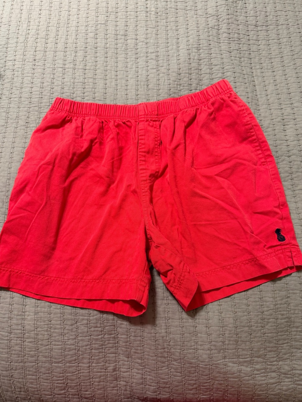 Chubbies Easy Shorts Men’s Medium